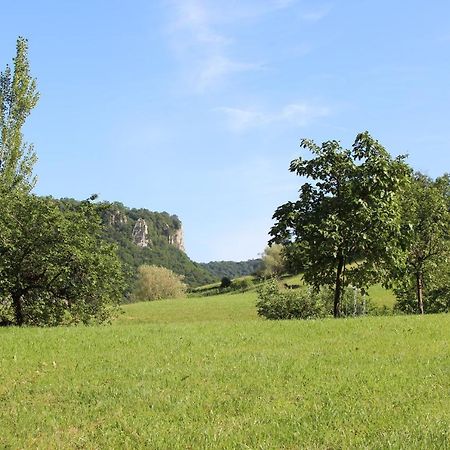 Domaine De Bellevue Gite Du Mont Poupet Marnoz Eksteriør bilde