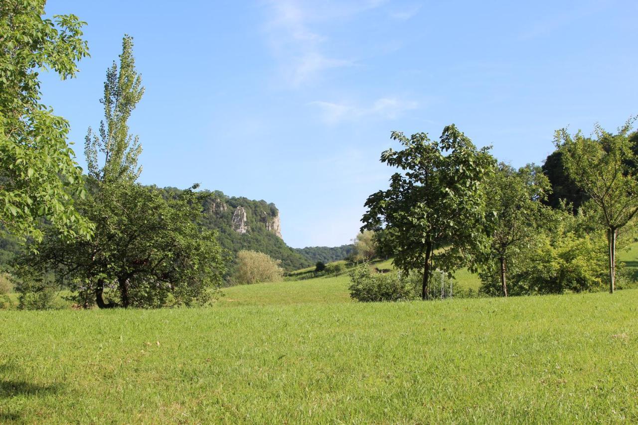Domaine De Bellevue Gite Du Mont Poupet Marnoz Eksteriør bilde